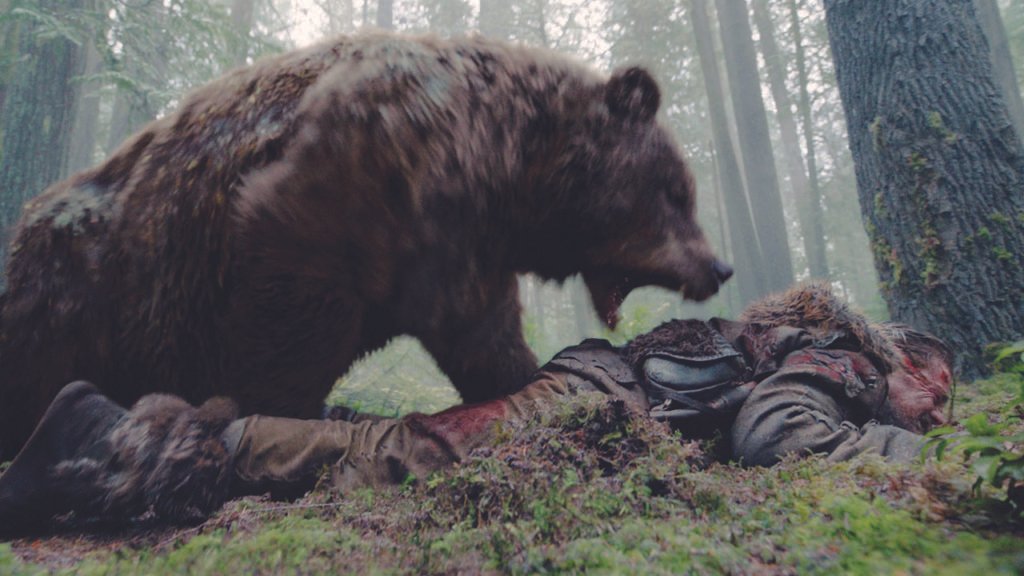 Grizzly The Revenant